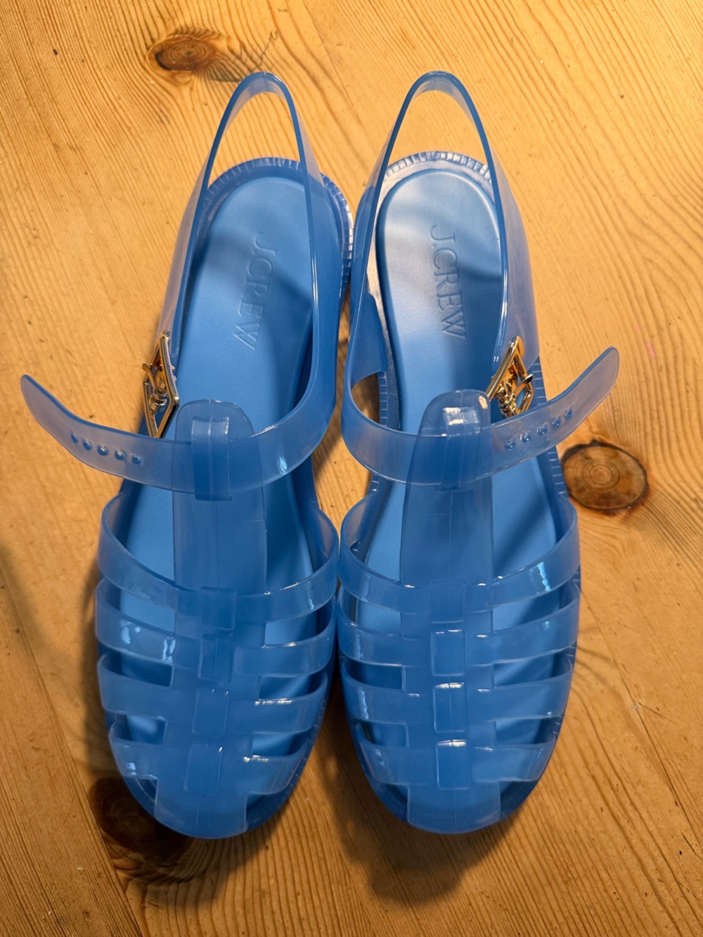 J. Crew Blue Jelly Slingback Sandals with Gold Buckle